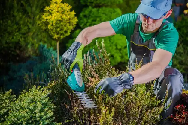 landscaping services Northgate